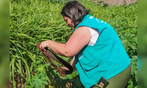 Mais 127 novos casos de dengue são confirmados na região