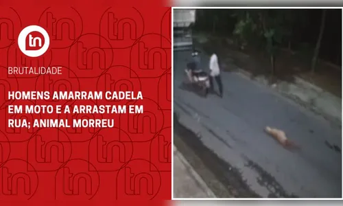Homens amarram cadela em moto e a arrastam em rua; animal morreu