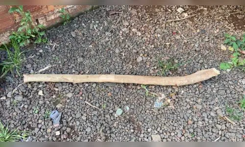 Filho agride o próprio pai com pedaço de pau em Lunardelli
