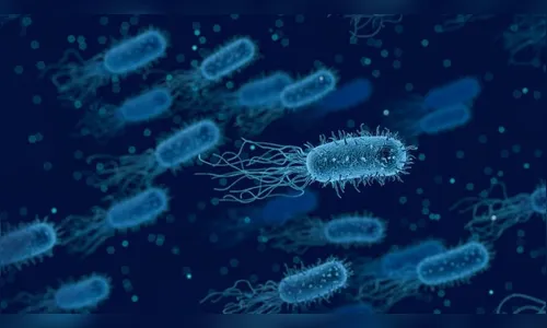 Alerta: infecção mortal por fungo se espalha pelos Estados Unidos