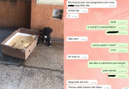 Imagens do filhote e da conversa entre os jovens