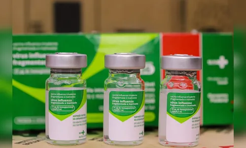 Paraná recebe doses de vacinas para a nova campanha contra gripe