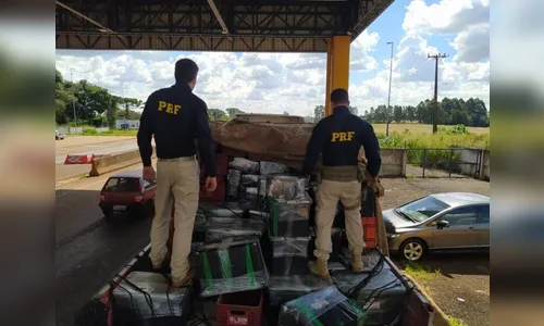 PRF apreende mais de 4 toneladas de maconha no Paraná; vídeo