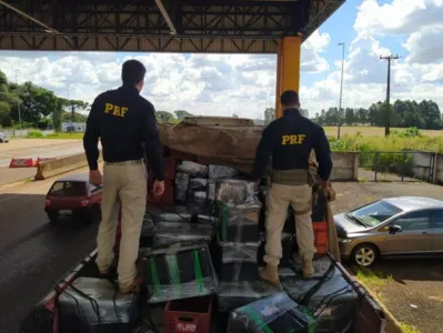 Mais de quatro toneladas de maconha foram apreendidas na BR-277