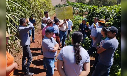IDR organiza reuniões para incentivar produção de frutas em Arapongas