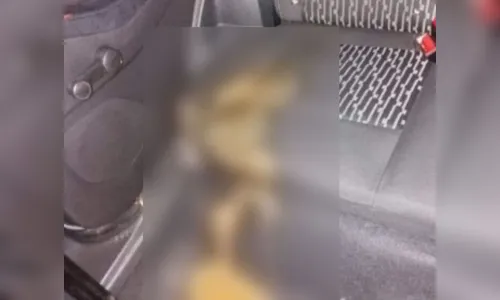 Passageira defeca em carro de aplicativo e deixa condutor no prejuízo