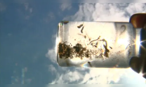 Casos de dengue sobem para 23 em Novo Itacolomi, afirma saúde