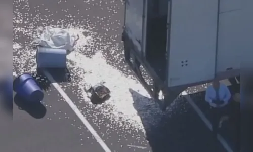 Vídeo: Assaltantes roubam quase R$ 1 milhão em moedas de 10 centavos