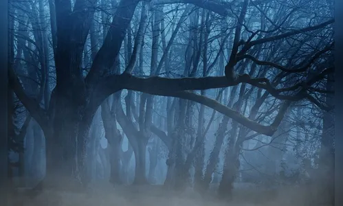 Seita de jejum para 'conhecer Jesus' já matou mais de 70 pessoas