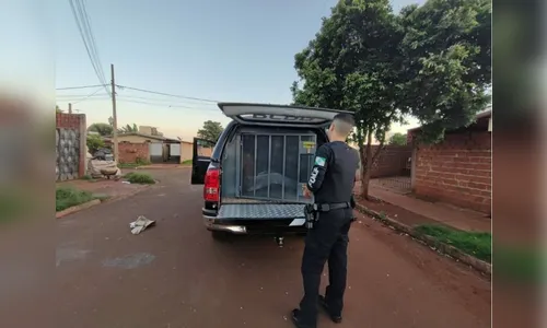 Policia prende tio que engravidou sobrinha menor de idade, em Sarandi