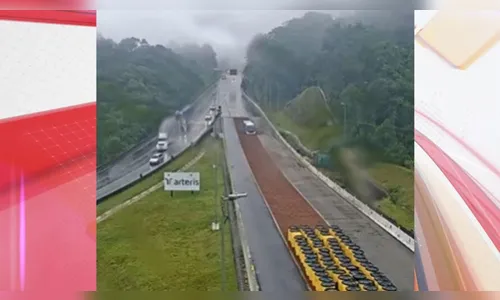 Ônibus com 23 passageiros utiliza área de escape na BR-376, assista