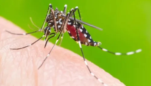 O novo boletim também confirmou mais 30 casos de chikungunya