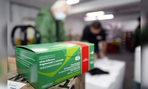 Paraná inicia imunização contra a gripe em abril; saiba mais