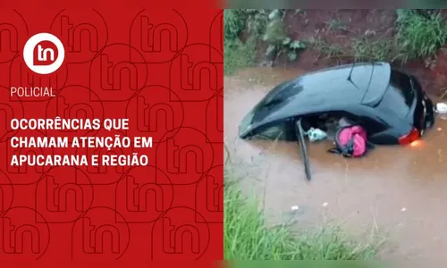 Ocorrências que chamam atenção em Apucarana e região