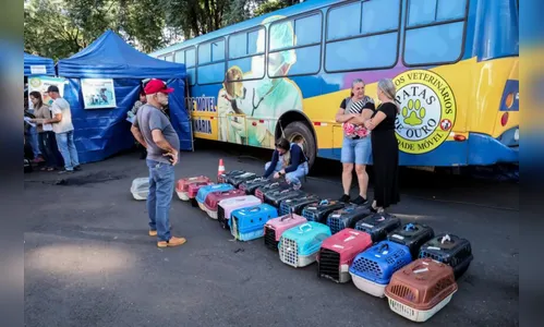 Castrapet retorna a Apucarana e faz mais 240 esterilizações