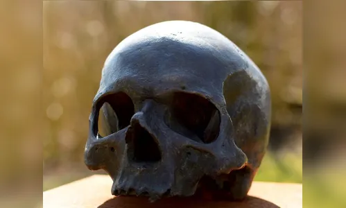 Urgente: ossada humana é encontrada na BR-376 em Apucarana