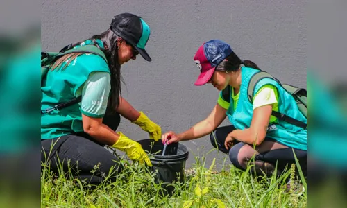 Bom Sucesso e São Pedro do Ivaí enfrentam epidemia de dengue