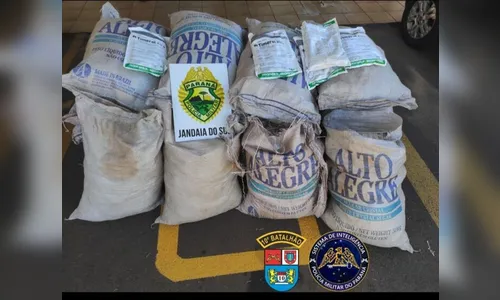 PM apreende carga de agrotóxicos contrabandeados em Jandaia do Sul