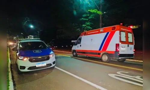 Motociclista fica ferido e capivara atropelada morre no Jaboti