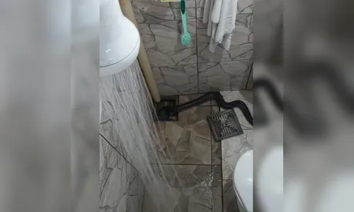 Homem leva susto após cobra sair de ralo enquanto toma banho; assista