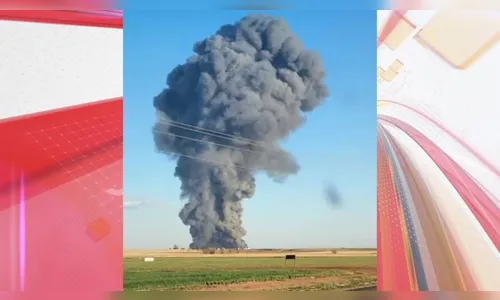 Explosão mata 18 mil vacas leiteiras e motivo pode te surpreender