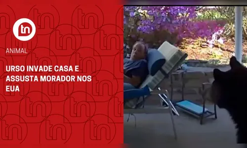 Urso invade casa e assusta morador nos EUA