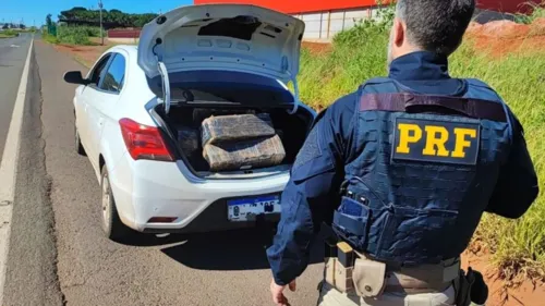 Veículo carregado com a droga foi abordado na BR-376