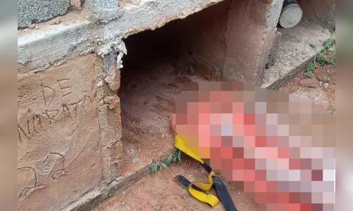 Suspeitos de enterrar mulher viva por vingança em MG são presos
