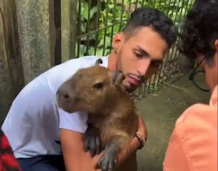 Após decisão judicial, capivara Filó é devolvida a tutor; assista