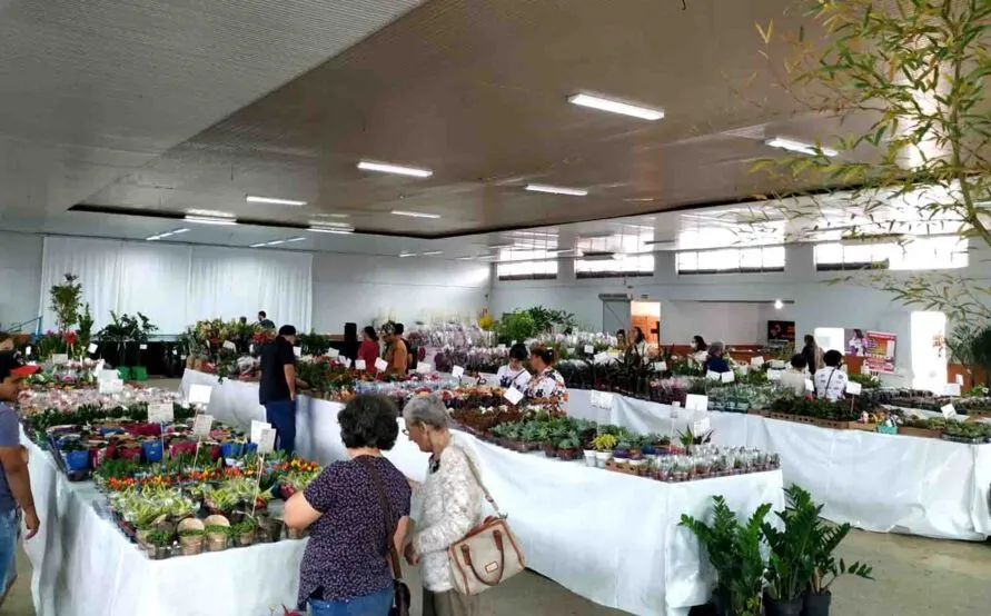 Arquivo  3ª edição da Expo Flores em Ivaiporã