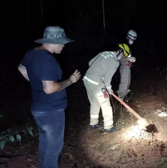 Covas foram localizadas na última sexta-feira (5)