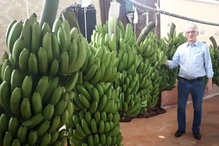 Ortigara participa de  Evento Técnico na Festa do Frango e da Banana