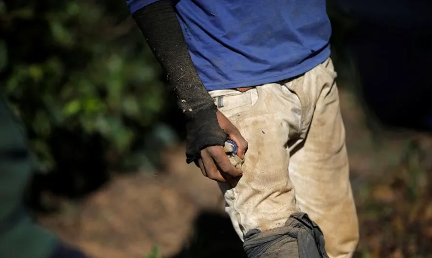 Trabalhador é encontrado em condição análoga à escravidão no Paraná