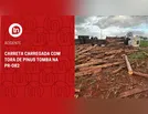 Carreta carregada com tora de pinus tomba na PR-082