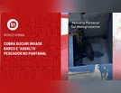 Cobra sucuri invade barco e 'assalta' pescador no Pantanal