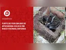 Furto de fios em UBS de Apucarana coloca em risco vacinas; entenda