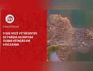 O que você vê? Registro do Parque da Raposa chama atenção em Apucarana