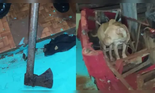 Homem mata cachorro a machadadas no Paraná: “Estava com pulgas”