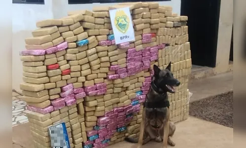 Operação conjunta da polícia do PR resulta em sete prisões