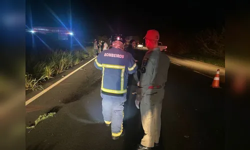 Identificado homem que morreu ao ser atropelado na BR-376 em Cambira