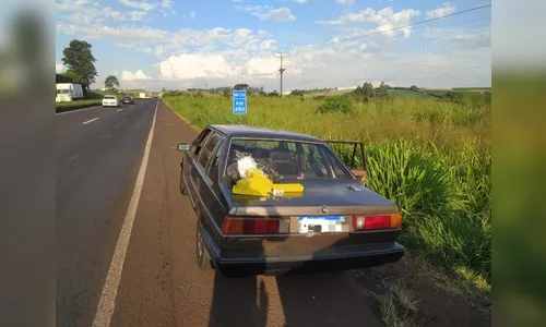 PRF apreende 3,9 quilos de maconha no município de Mandaguari