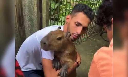 Após decisão judicial, capivara Filó é devolvida a tutor; assista