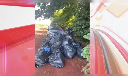Mais de 1 tonelada de maconha é apreendida em área rural no Paraná