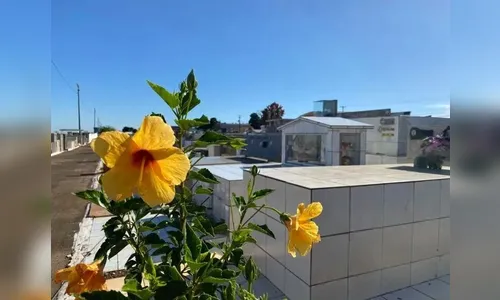 Confira os sepultamentos deste sábado (6) de Apucarana