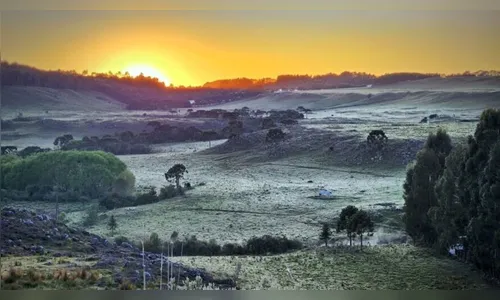 Frio começou: PR registra temperaturas abaixo de 0°C nesta quinta
