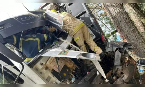 PR: caminhoneiro atinge árvore e fica preso nas ferragens em acidente