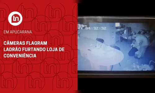 Câmeras flagram ladrão furtando loja de conveniência, em Apucarana