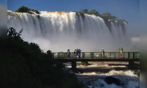 Aquário marinho será construído em Foz do Iguaçu; saiba mais
