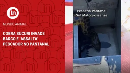 Cobra sucuri invade barco e 'assalta' pescador no Pantanal