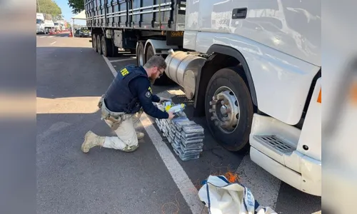 PRF apreende na fronteira droga avaliada em mais de R$ 15 milhões